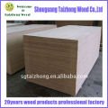 eucalyptus plywood